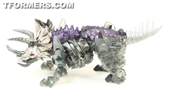 TF4 Dinobots Platinum Edition Unleashed Shared BBTS Exclusive 5 Pack  (70 of 87)